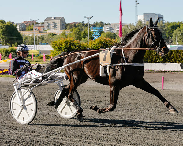 Foto: Lena Emmoth