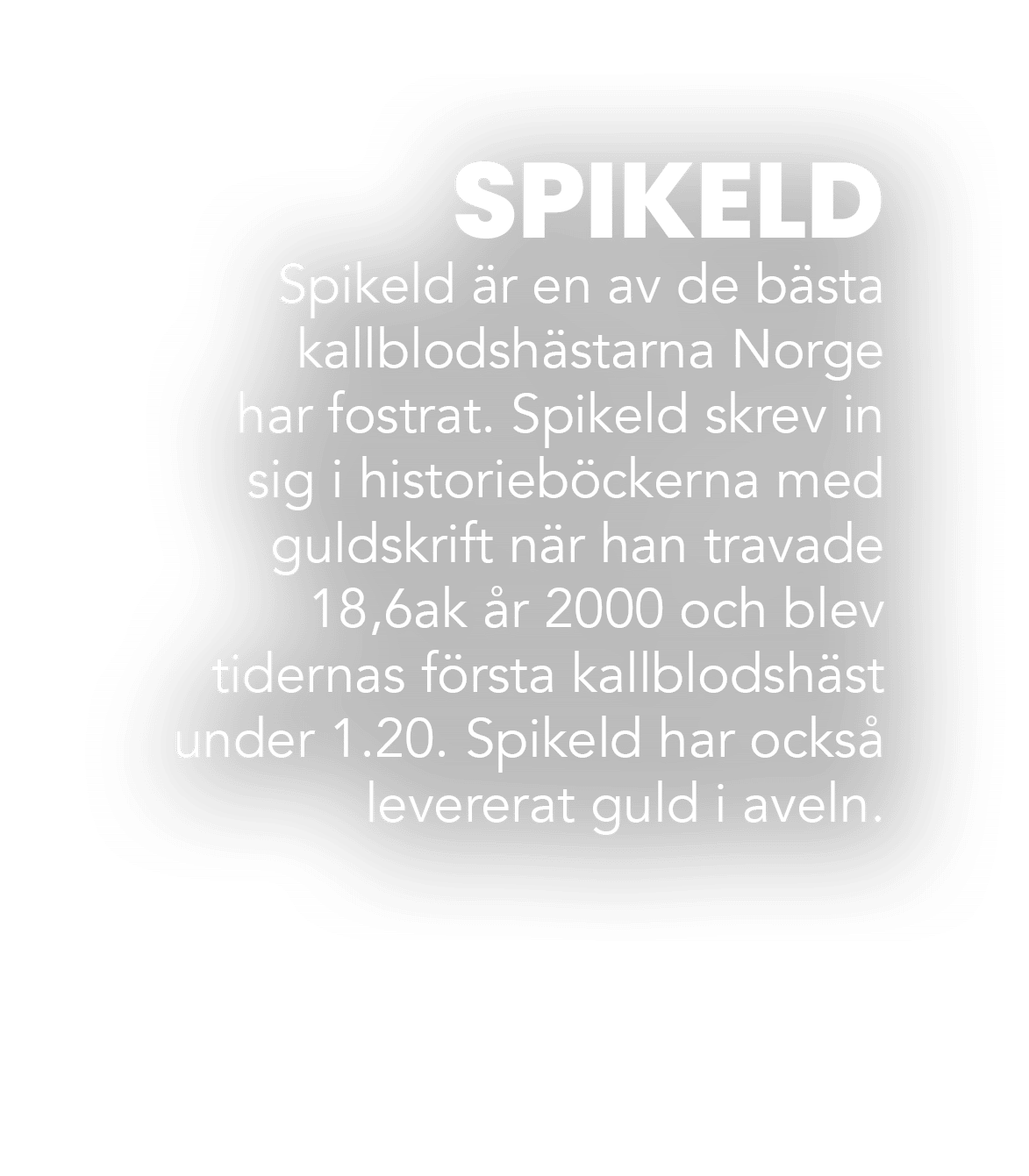 SPIKELD Spikeld r en av de b sta kallblodsh starna Norge har fostrat. Spikeld skrev in sig i historieb ckerna med gu...
