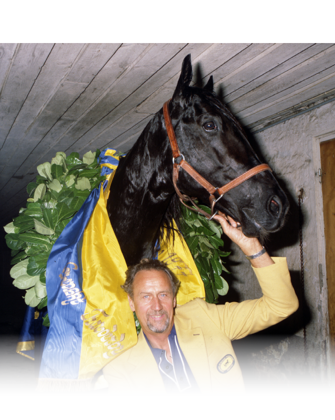 A person wearing a yellow jacket is holding the head of a black horse draped in a blue and yellow cloth with greenery in the background inside a stable. Description generated by AI