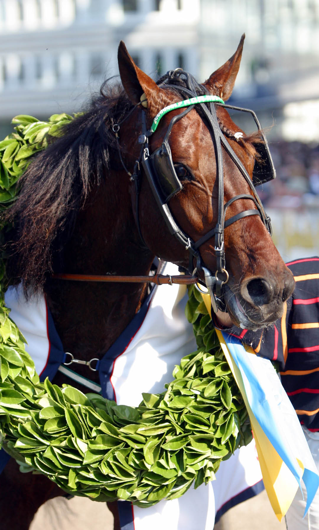 Foto: JANET PERS SPARTHAN/TR BILD Foto: Janet Pers Sparthan / Ronden.Solvalla 20030525, Elitloppet..From Above