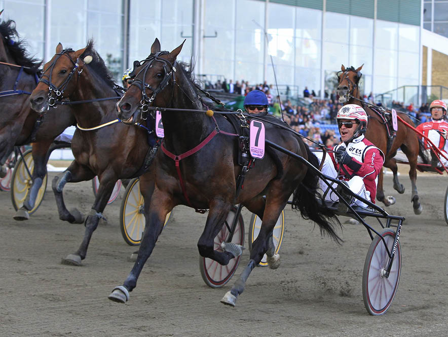 Lutfi Kolgjini och Mosaique Face vinner Svenskt Travderby 2013. Foto: Mia T rnberg / Trvronden