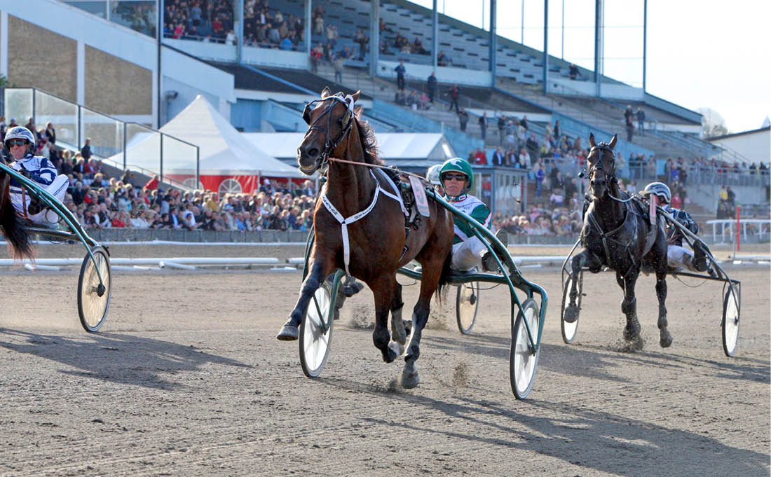 Maharajah och rjan Kihlstr m vinner Svenskt Travderby 2009. Foto: Mia T rnberg / Ronden.