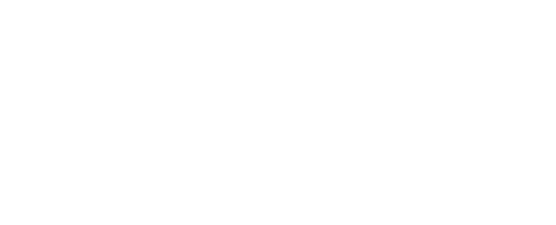 SHAN RAGS
