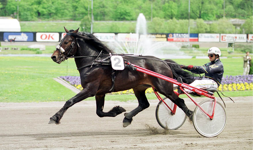 Foto: TINA STAFR N/TR BILD Foto: Tina Stafr n/Ronden.Solvalla 19990530..Spikeld och Rune Wiig