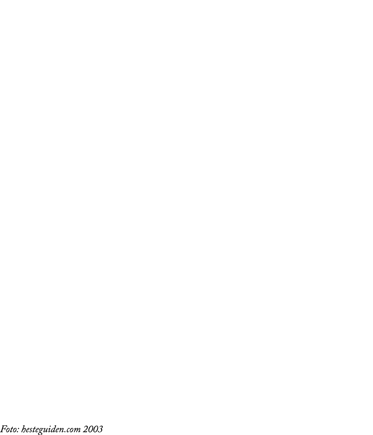 Foto: hesteguiden.com 2003