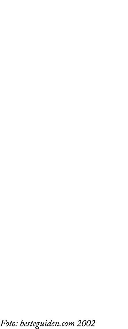 Foto: hesteguiden.com 2002