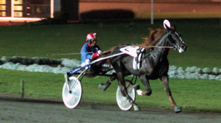 M√ L SV.UPPF√ DNINGSL√ PNING 1996. Fotograf: Referens:962465-23 Pla