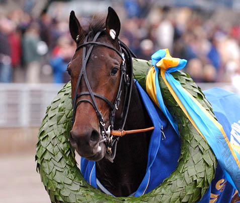 foto : tb : conny nobell krans efter segern i svenskt trav-kriterium