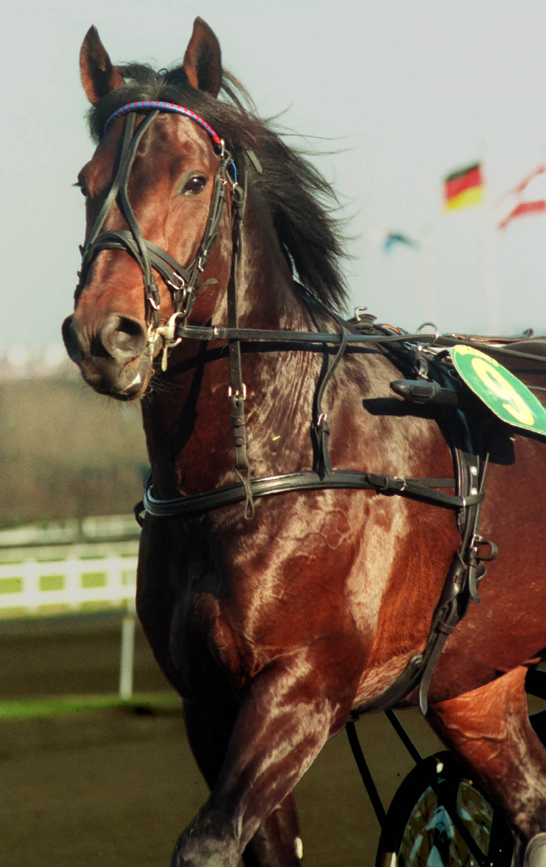 HUVUDBILD,I V RMNING. Fotograf: Referens:960047-7 Place:VINCENNES keywords:REPORTAGEBILDER