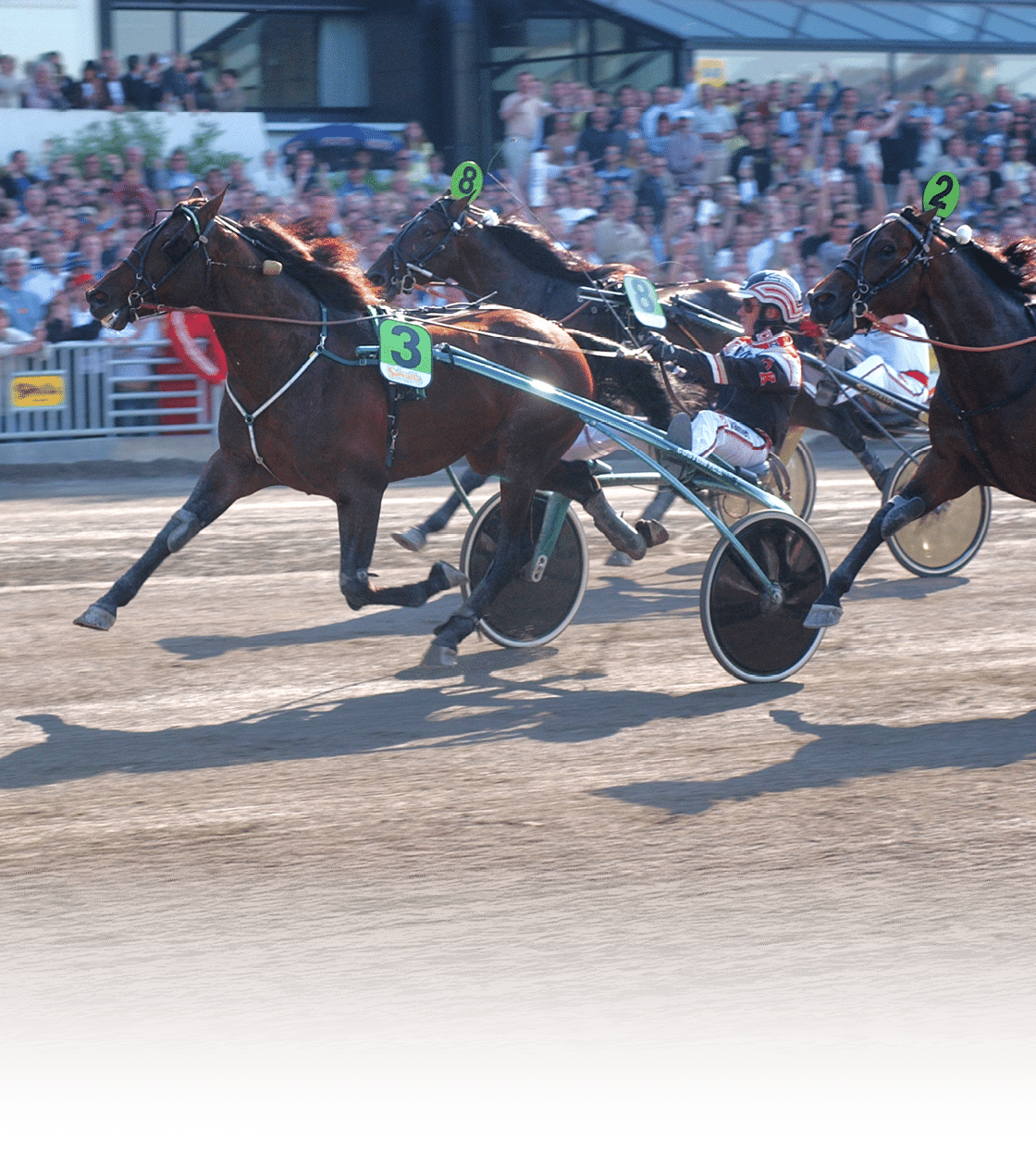 ELITLOPPET 2003 keywords:M LBILDER