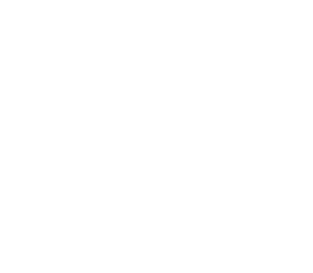 From Above vann Kriteriet som 3 ring, Derbyt som 4  ring och toppade sedan det hela med att vinna Elitloppet som 5  ...