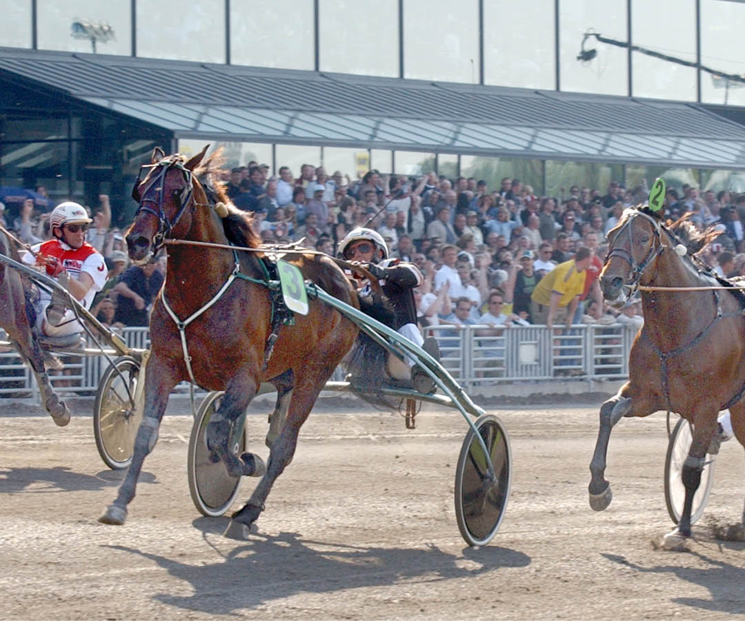 Foto : TB : FROM ABOVE RJAN KIHLSTR M  EFTER ELITLOPPSSEGERN keywords:M lbilder