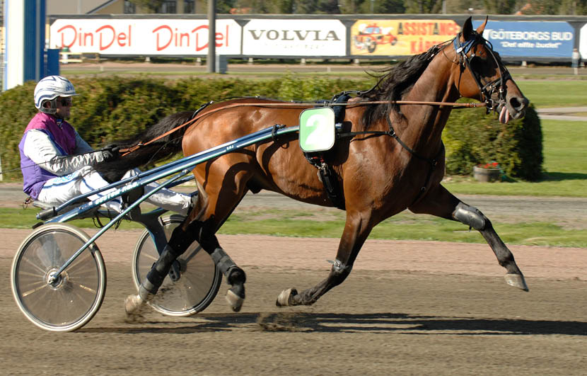 Foto : CLAES K RRSTRAND : Foto Claes K rrstrand  by 07 09 15  Citation    Erik Adielsson